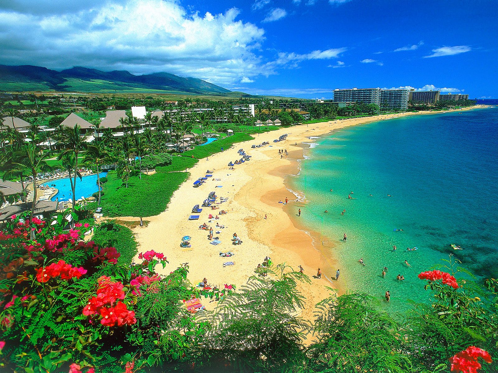 Beach in Honolulu Hawaii