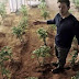 Планета Марс будет давать плоды: NASA вырастила первый картофель