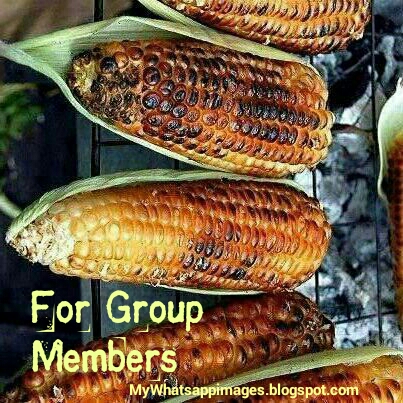 For Group Members