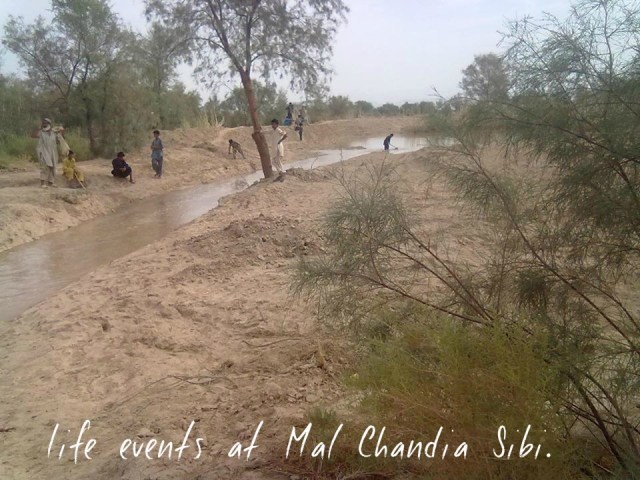 Life events at Mal Chandia Sibi