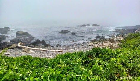 2a. ocean cove near house 7-3-14
