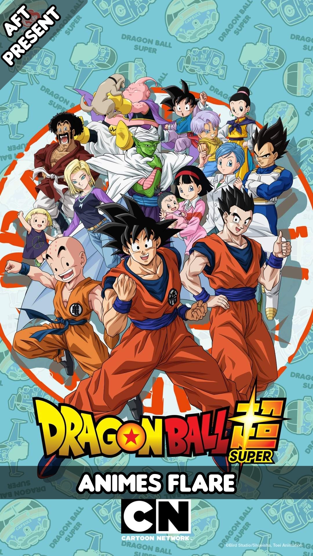 Dragon Ball Super All Seasons Hindi Dubbed Episodes Download