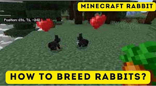 Minecraft Rabbit: How to Breed Rabbits?