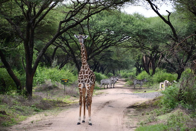 Lake Manyara