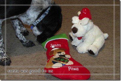 Santa copy_1