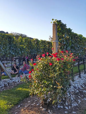 Festival Sabores da Vindima na Vinícola Salton em Bento Gonçalves