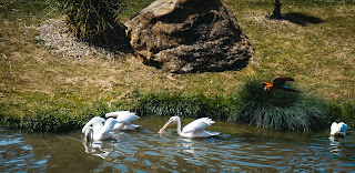 sur le fil de l'eau