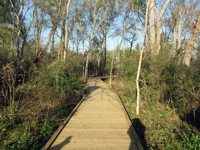 Boardwalk at Armand Bayou Nature Center.