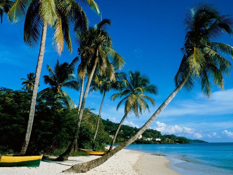 Contoh gambar pantai negara tropis
