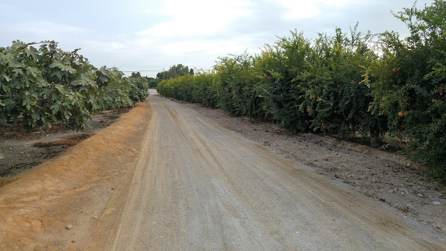 Ruta en bici entre Torrellano y Santa Pola