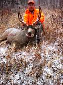 Black Hills 2013