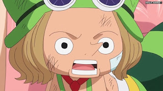 ワンピースアニメ ドレスローザ編 693話 レオ LEO | ONE PIECE Episode 693