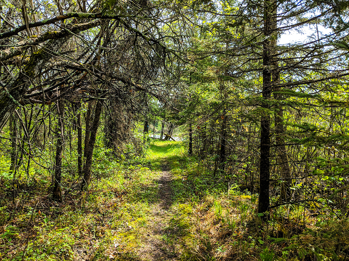 North Country National Trail St Croix River Section