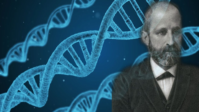 فريدريش ميشر,الحمض النووي,DNA,واطسون,كريك,جائزة نوبل,البروتينات,المادة الوراثية,بيولوجي,النواة,الخلية,اكتشاف الحمض النووي