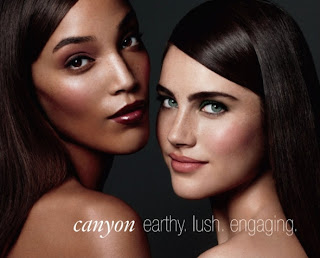 Laura Mercier Canyon Fall 2011 Makeup Collection