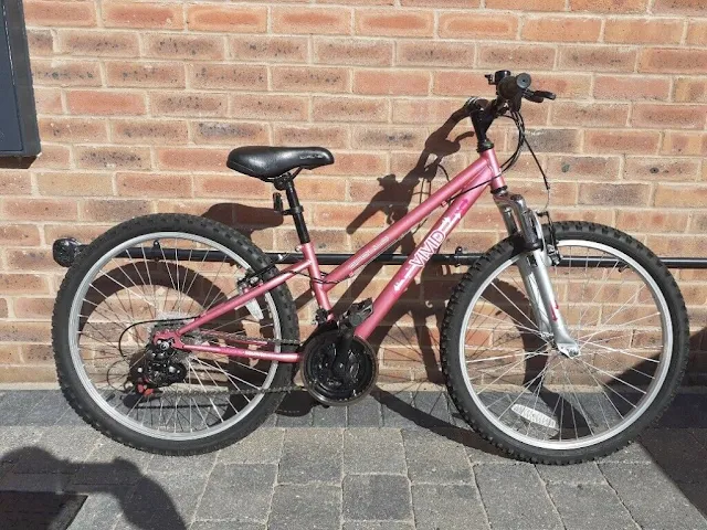 Teenage Girls Bike