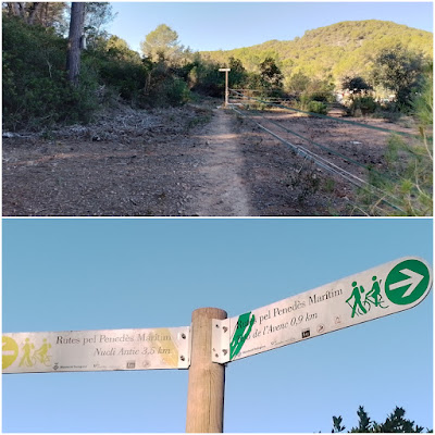 CUNIT - PUIG DE LA MINA - PUIGDETIULA-TURÓ DE L'AVENC - AVENC SANT ANTONI, Corriol pel Fondo de Puigdetiula i de Cal Jover