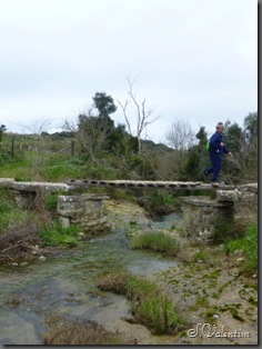 P1000357