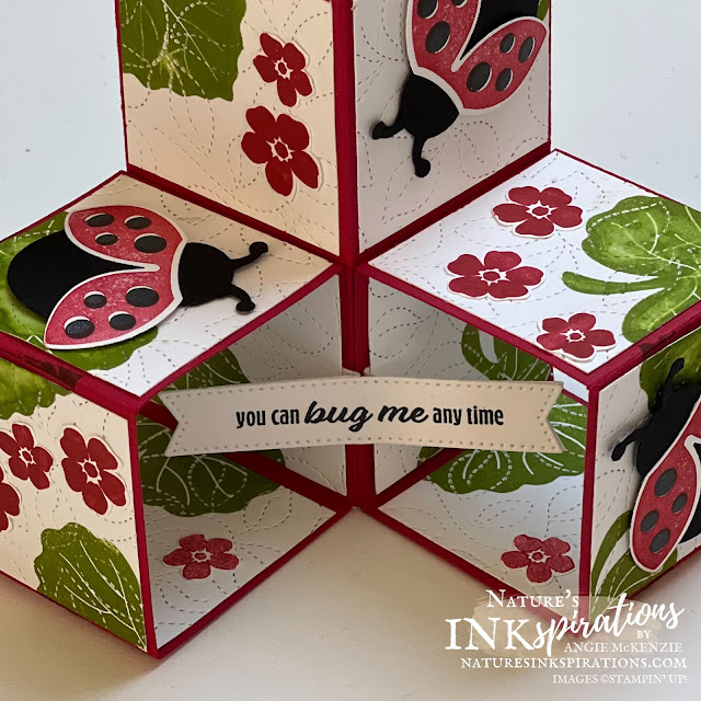 Hello Ladybug Triple Cube Pop-Up Card (sentiment close-up) | Nature's INKspirations by Angie McKenzie