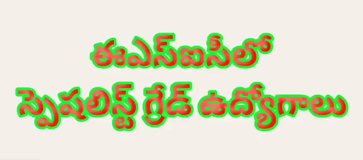 Govt jobs 10th pass Latest Govt Jobs notifications Govt Jobs in AP Direct recruitment in AP Govt Jobs Government jobs after 12th www.esic.gov.in jobs