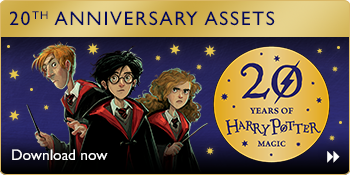 harry potter 20th anniversary