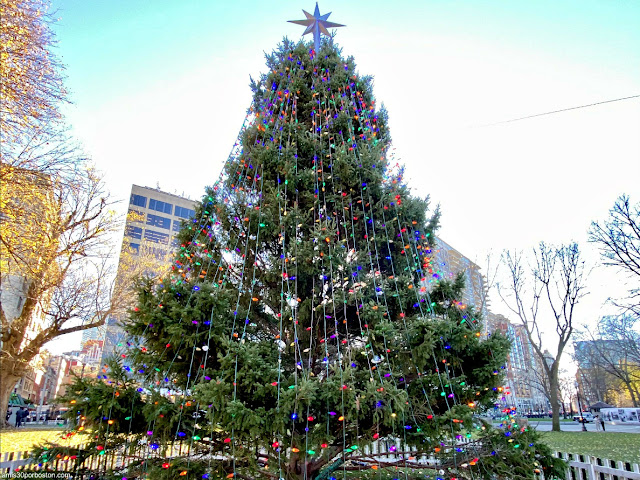 Árbol de Navidad Oficial de Boston