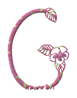 Abecedario Rosa Hecho con Flores. Pink Alphabet done with Flowers.