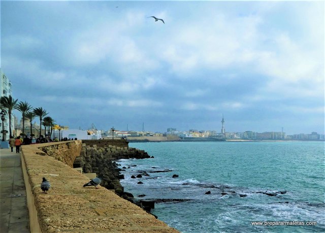 paseo marítimo de Cádiz imprescindible