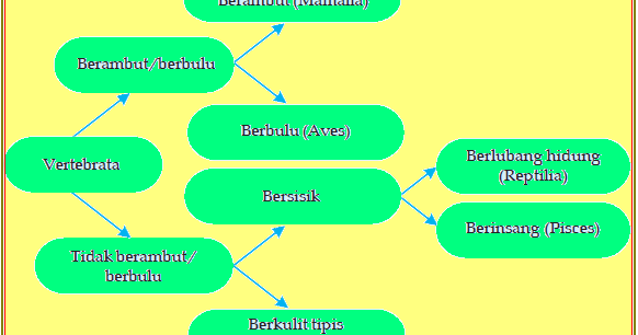 Cara Identifikasi Makhluk Hidup