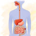 Quais as diferenças entre Doença de Crohn e Retocolite Ulcerativa?