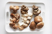 Types of mushrooms