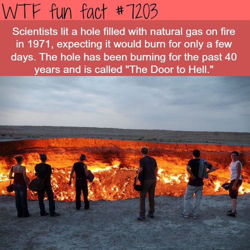 Amazing Interesting Random Facts