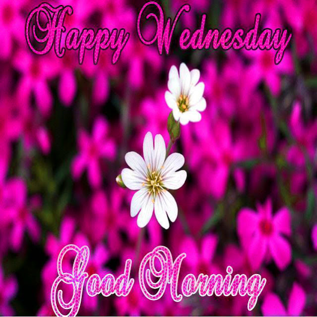 Good Morning Happy Wednesday Images 2