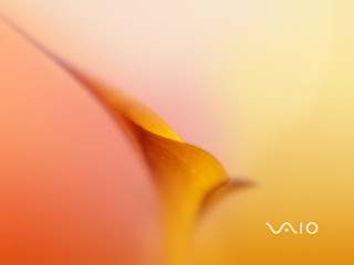 Vaio HD Wallpaper
