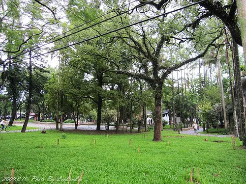 大溪中正公園｜大溪纜樁