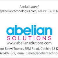 Abelian Solutions, Cochin