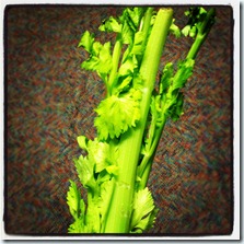 photochallenge 504