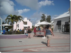 DSCN0939