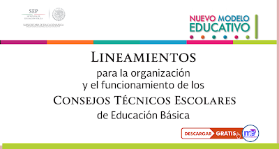 Lineamientos para la organización y el funcionamiento de los Consejos Técnicos Escolares Educación Básica