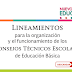 Lineamientos para la organización y el funcionamiento de los Consejos Técnicos Escolares Educación Básica