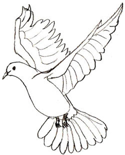 Cute Dove Coloring Pages