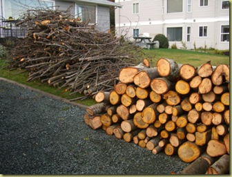 firewood