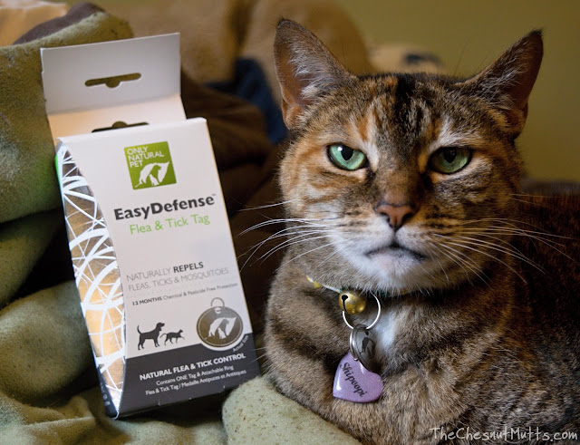 Mini Review: Only Natural Pet EasyDefense Flea & Tick Tag