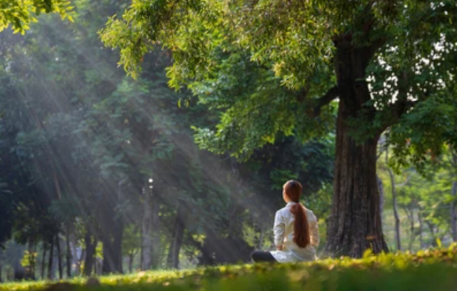 Mindfulness Meditation for Stress Relief A Comprehensive Guide