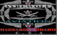 AYREWOLFAVIATIONLOGO1
