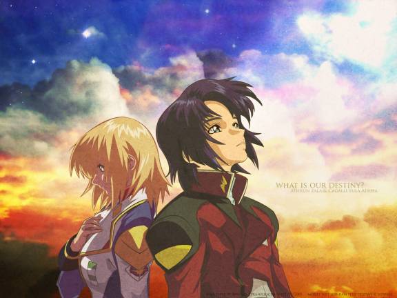 Gundam Seed Destiny Wallpaper