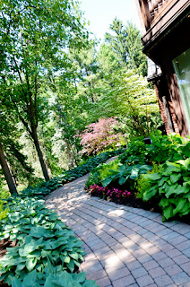 shady garden path