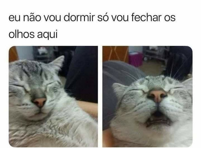 Rir é o melhor remédio: 40 memes para alegrar o seu dia!