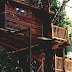 Out'n'About - Treehouses Oregon