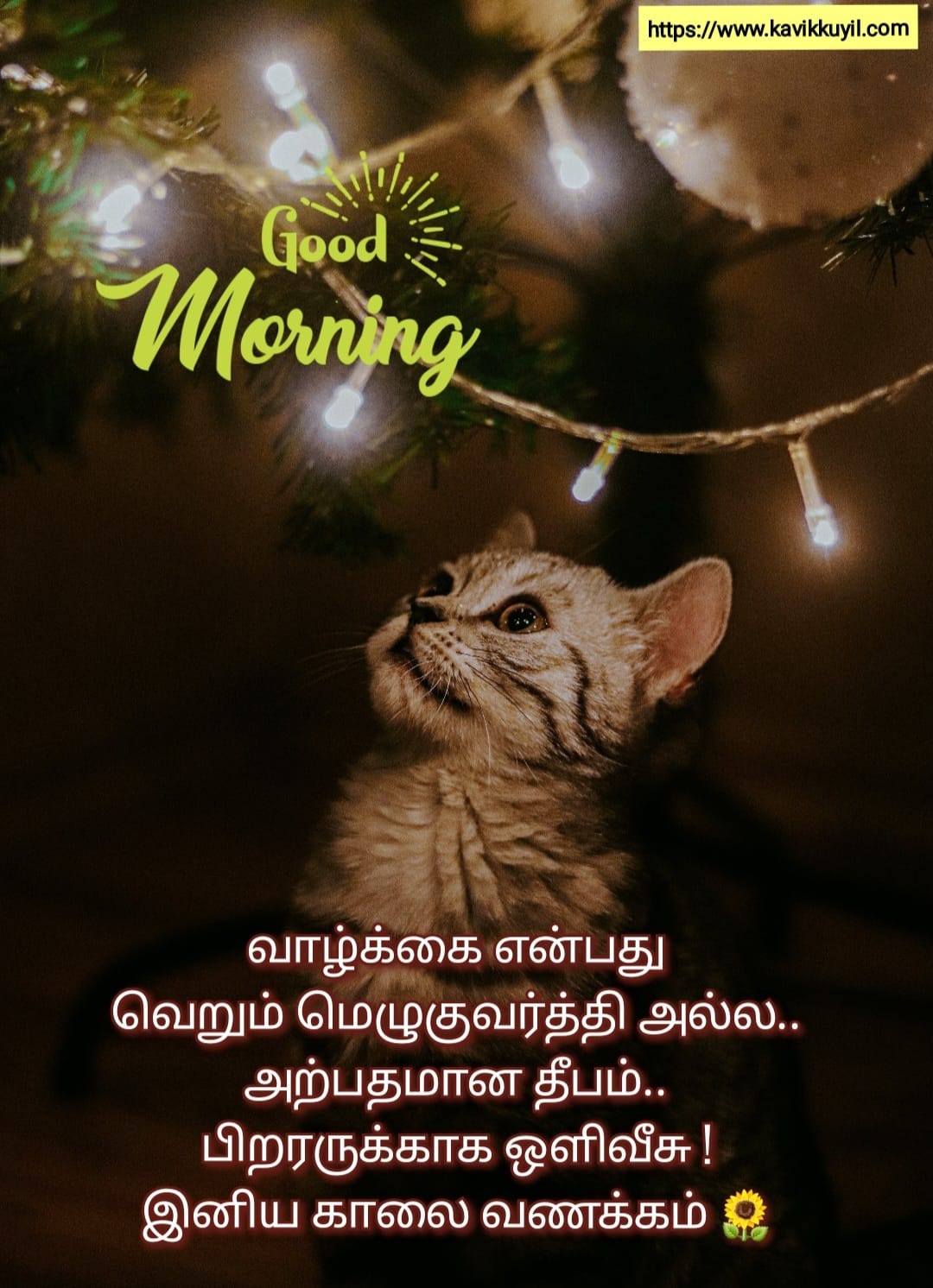 Good Morning Quotes in Tamil || Happy Morning tamil wishes ...